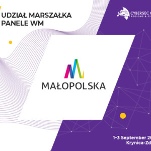 Województwo małopolskie podczas cybersec cee regions & cities